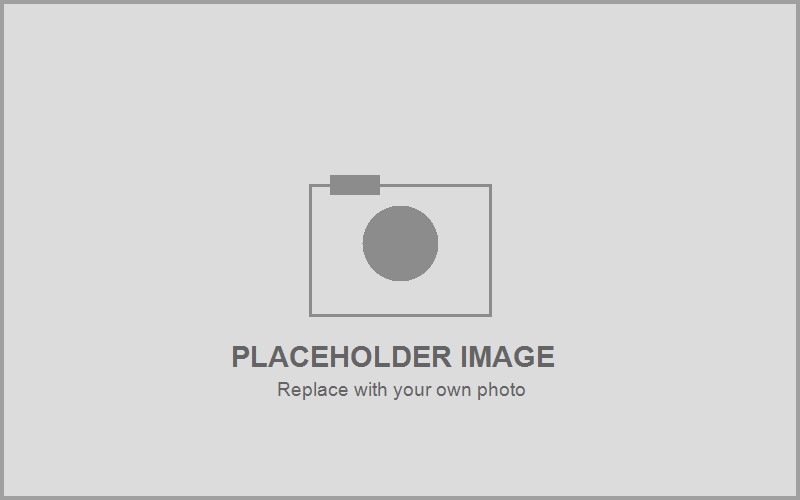 Placeholder image — in a real post, replace this with an actual photo from the field.